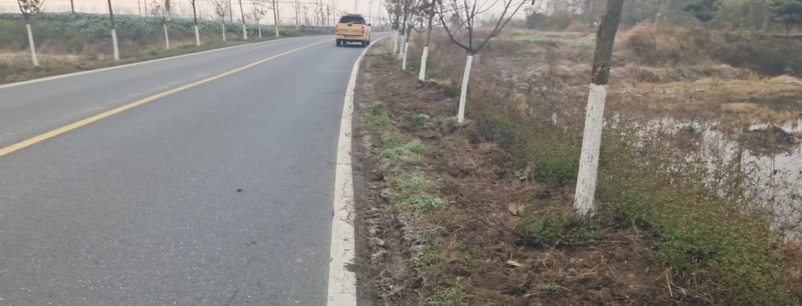 1735173483103067.png image.png